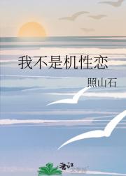 我不是机性恋