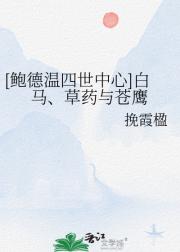 【鲍德温四世中心】白马、草药与苍鹰