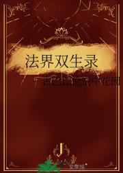 法界双生录