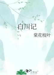 白川记