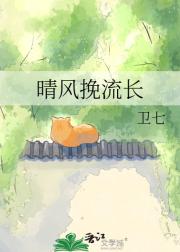 晴风挽流长