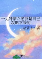 一见钟情之老婆是自己攻略下来的