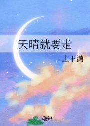 天晴就要走
