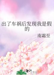 出了车祸后发现我是假的