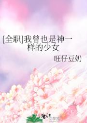 [全职]我曾也是神一样的少女