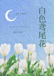白色鸢尾花