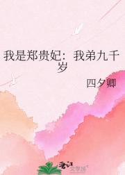 我是郑贵妃：我弟九千岁