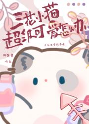 三花小猫超级可爱怎么办