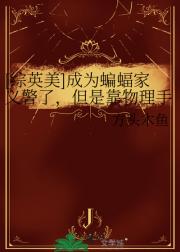 【综英美】成为蝙蝠家义警了，但是靠物理手