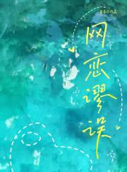 网恋谬误