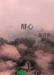 辩心