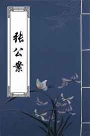 张公案2