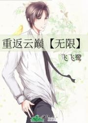 重返云巅【无限】