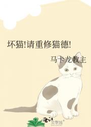 坏猫!请重修猫德!