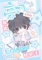 我被豪门Enigma标记了