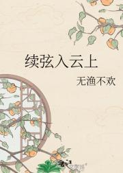 续弦入云上
