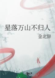 星落万山不归人