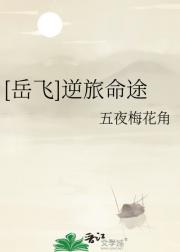 [岳飞]逆旅命途
