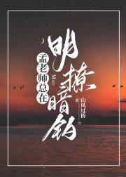 孟老师总在明撩暗钓