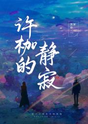 许枷的静寂