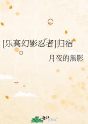 [乐高幻影忍者]归宿