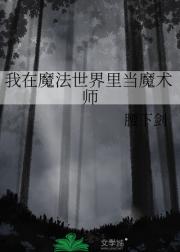 我在魔法世界里当魔术师
