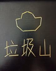 我家垃圾山上全是宝