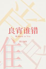 [还珠]良宵谁错