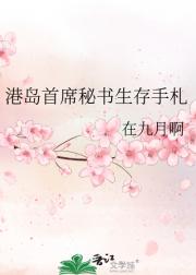 港岛首席秘书生存手札