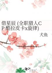 借星辰 (全职猎人CP 酷拉皮卡x旋律)