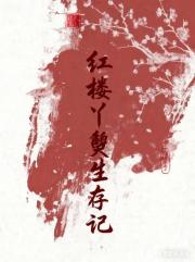 红楼丫鬟生存记