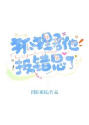 狐狸君他报错恩了