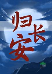 归长安见闻录