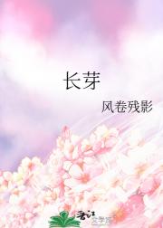 凡人与狐狸
