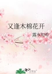又逢木棉花开