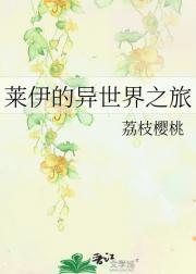 莱伊的异世界之旅