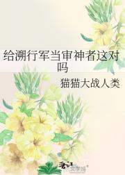 给溯行军当审神者这对吗