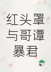 [综英美]红头罩与哥谭暴君