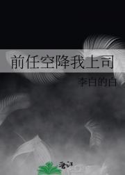 前任空降我上司