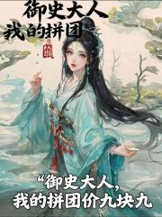 御史大人，我的拼团价九块九