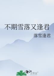 不期雪落又逢君