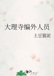 大理寺编外人员