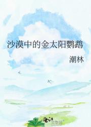 沙漠中的金太阳鹦鹉