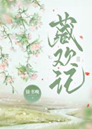 藏欢记