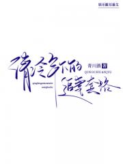 不完美情人[娱乐圈]