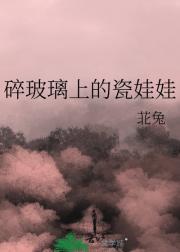 碎玻璃上的瓷娃娃