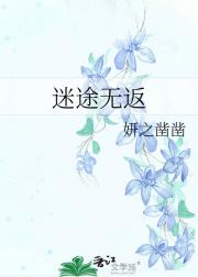 迷途无返