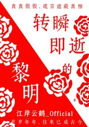 转瞬即逝的黎明