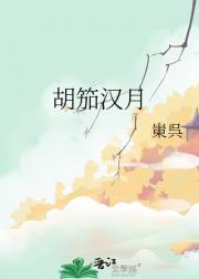 胡笳汉月