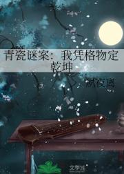 青瓷谜案：我凭格物定乾坤